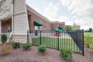 ib1608254 1008