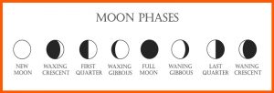phases of moon orange border