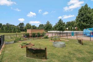 preschool murfreesboro tn daycare best preschools daycares 37129