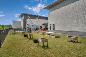 preschool daycare murfreesboro tn childcare learning zone jackson towne