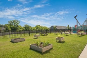 preschool spring hill tn daycare learning zone child care 37174