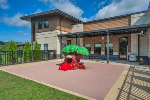 preschools nolensville tn best daycare childcare learning zone burkitt commons 37135