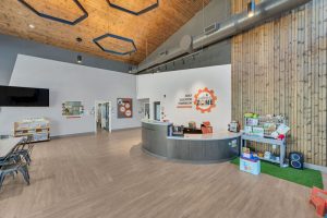 preschools nolensville tn best daycare childcare learning zone burkitt commons 37135